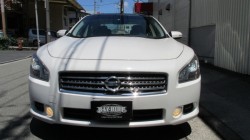 IMG_0077 (800x450) (800x450)